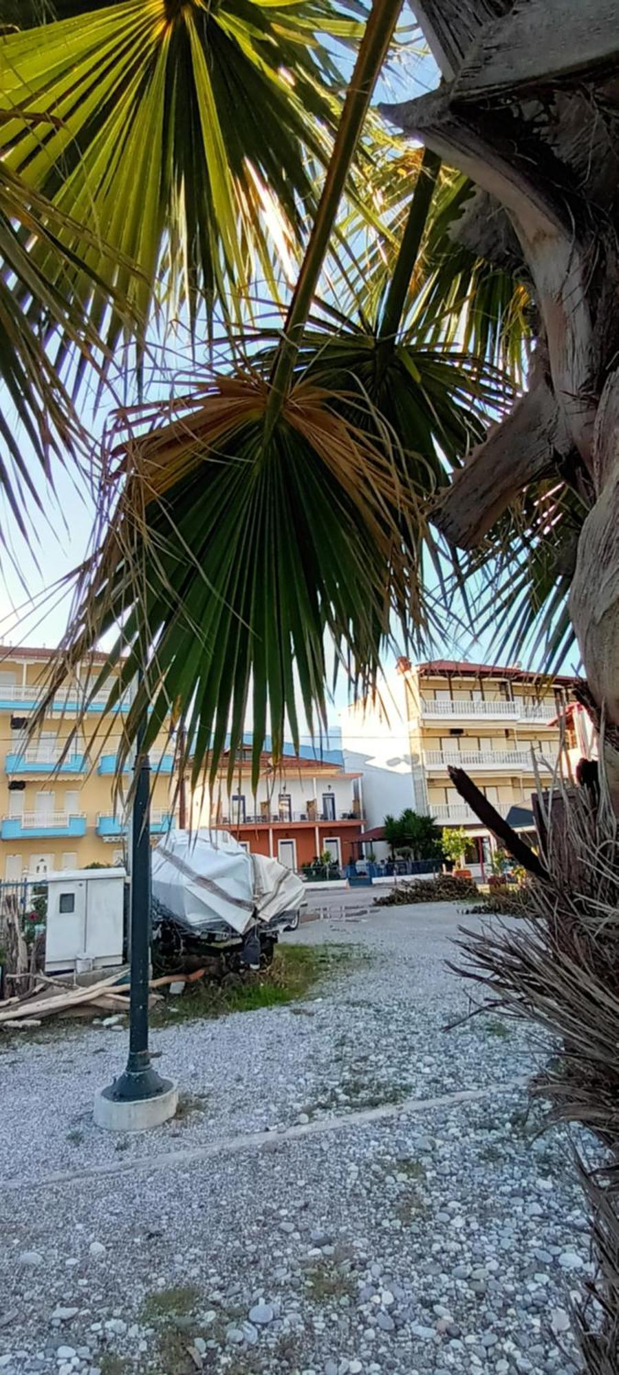 Mana Mia Seaside Apartments Leptokaryá Extérieur photo
